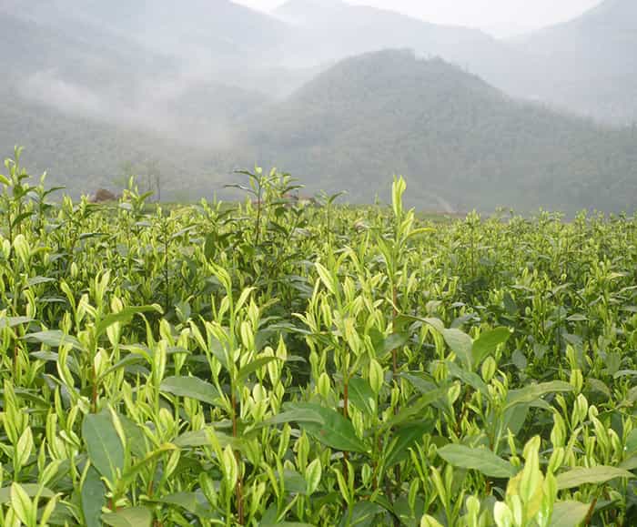數(shù)控雕刻機(jī)廠(chǎng)家產(chǎn)品為什么有不同型號(hào)？